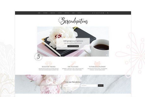 CreativeMarket – Hello Serendipitous v1.0.2 – WordPress Theme