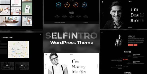 Selfintro v1.0.3 – A CV & Portfolio WordPress Theme