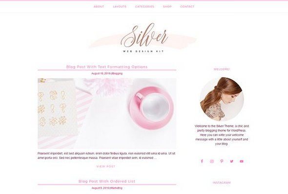 CreativeMarket – Silver v1.8 – Feminine Blog Shop Genesis Theme