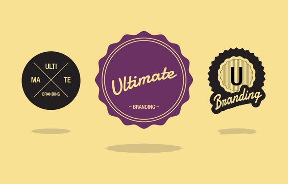WPMU DEV – Ultimate Branding v1.9.3 – WordPress Plugin